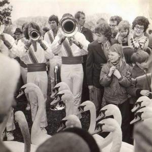 Stratford Piper