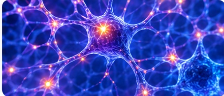 Illustration representing the nervous system